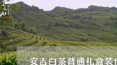 安吉白茶普通礼盒装价格/2023101622716