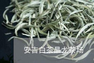 安吉白茶晶龙茶场/2023061806237