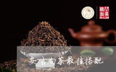 安吉白茶最佳搭配/2023061804936