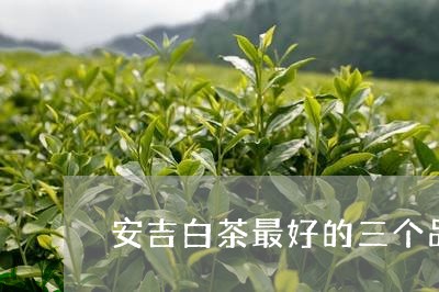 安吉白茶最好的三个品牌/2023101655949