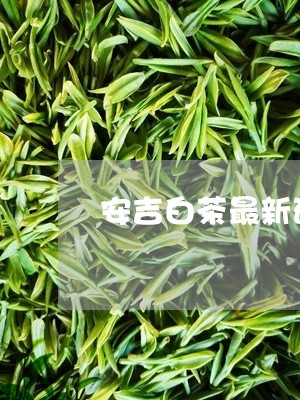 安吉白茶最新研究/2023061807373