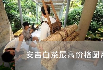 安吉白茶最高价格图片/2023092929424