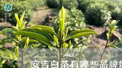 安吉白茶有哪些品牌好的/2023101649470