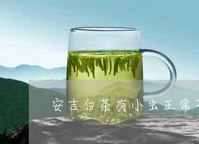 安吉白茶有小虫正常不/2023092982825