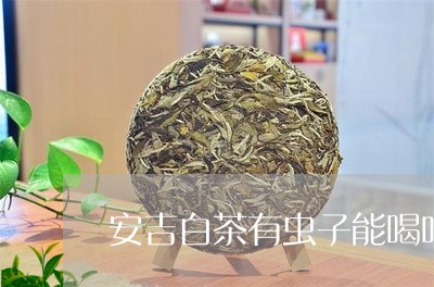 安吉白茶有虫子能喝吗/2023092980503