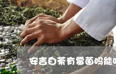 安吉白茶有霉菌吗能吃吗/2023101660593