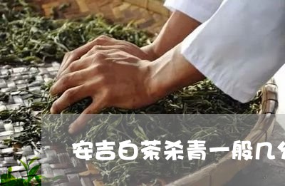 安吉白茶杀青一般几分钟/2023101664158