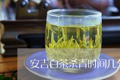 安吉白茶杀青时间几分钟/2023101635260