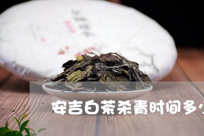 安吉白茶杀青时间多少/2023092917251