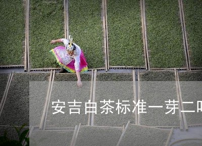 安吉白茶标准一芽二叶/2023092970383