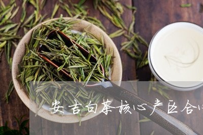 安吉白茶核心产区合心叶/2023101696159