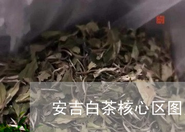 安吉白茶核心区图片大全/2023101628392