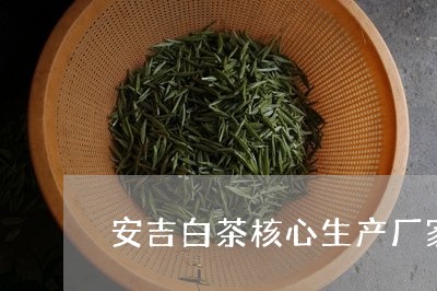 安吉白茶核心生产厂家/2023092918571