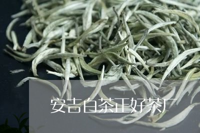 安吉白茶正好茶厂/2023061800471