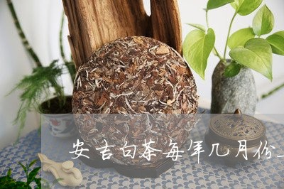 安吉白茶每年几月份上市/2023101609271