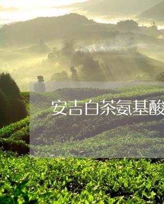 安吉白茶氨基酸价格表/2023092970514