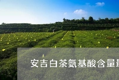 安吉白茶氨基酸含量最高/2023101786290