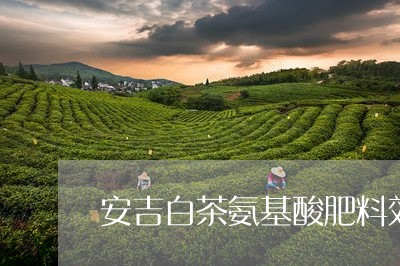 安吉白茶氨基酸肥料效果/2023101742850