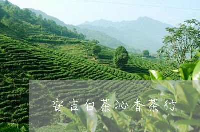 安吉白茶沁香茶行/2023061813727