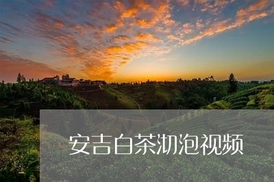 安吉白茶沏泡视频/2023061813817