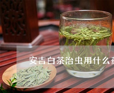 安吉白茶治虫用什么药/2023092912624