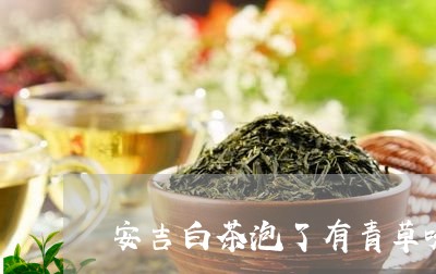 安吉白茶泡了有青草味/2023092989261