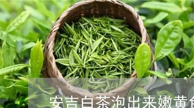 安吉白茶泡出来嫩黄色/2023092903829