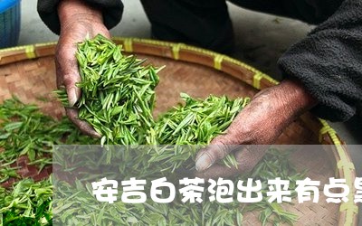 安吉白茶泡出来有点黑点/2023101740704