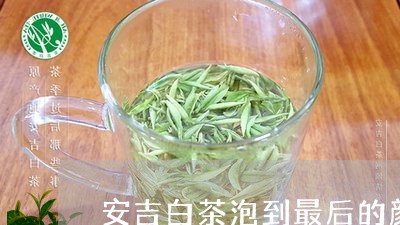 安吉白茶泡到最后的颜色/2023101742625