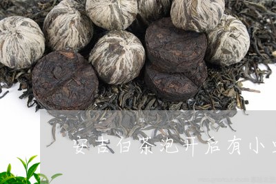 安吉白茶泡开后有小虫/2023092977150