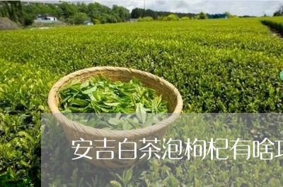 安吉白茶泡枸杞有啥功效/2023101749483