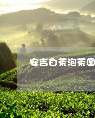 安吉白茶泡茶图片真实/2023092983825