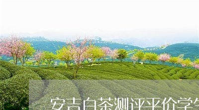 安吉白茶测评平价学生/2023092909603