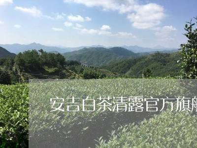 安吉白茶清露官方旗舰店/2023101767060