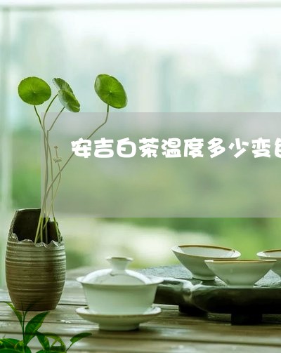 安吉白茶温度多少变色快/2023101771606