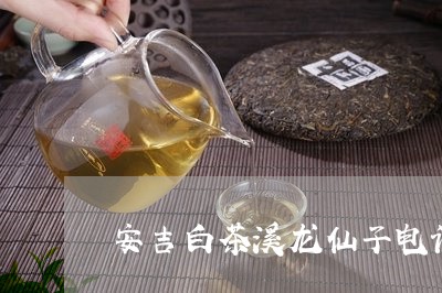 安吉白茶溪龙仙子电话/2023092967158