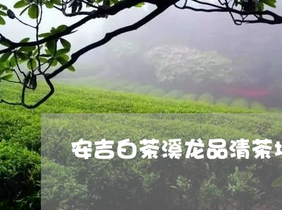 安吉白茶溪龙品清茶场/2023092971815