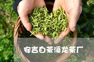 安吉白茶溪龙茶厂/2023061826259