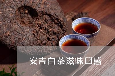 安吉白茶滋味口感/2023061809613