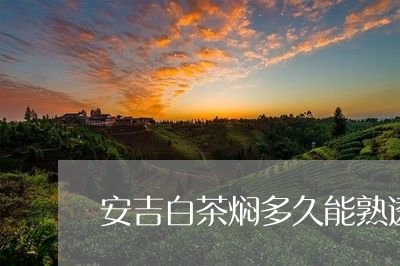 安吉白茶焖多久能熟透/2023092935257