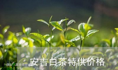 安吉白茶特供价格/2023061870602