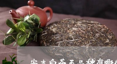 安吉白茶王品种有哪些好/2023101713726