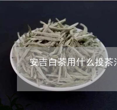 安吉白茶用什么投茶法好/2023101703959