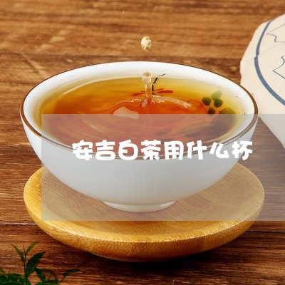 安吉白茶用什么杯/2023061761583