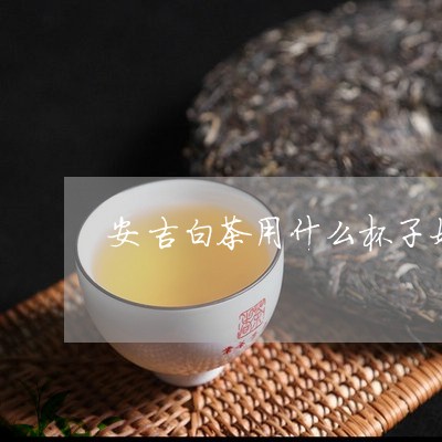 安吉白茶用什么杯子好/2023092976261