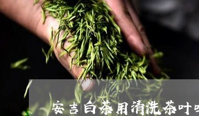 安吉白茶用清洗茶叶吗/2023092915169