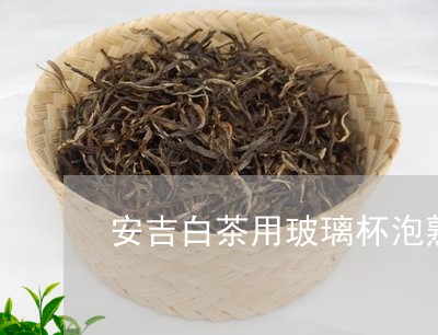 安吉白茶用玻璃杯泡熟了/2023101797572