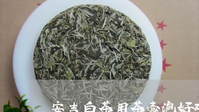 安吉白茶用茶壶泡好难喝/2023101736159