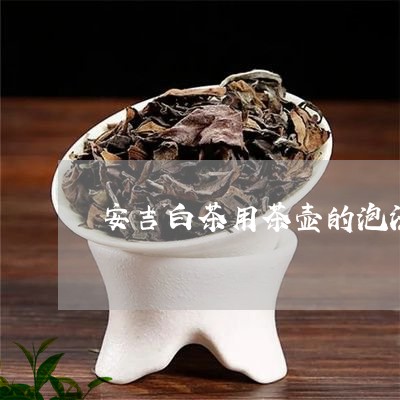 安吉白茶用茶壶的泡法/2023092950584