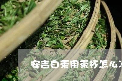 安吉白茶用茶杯怎么冲泡/2023101771673